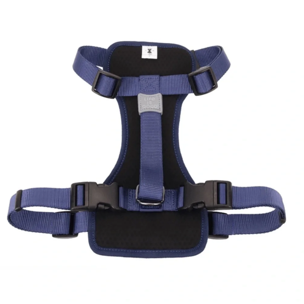 Life is Good Daisy Dog Harness- Baja Yellow